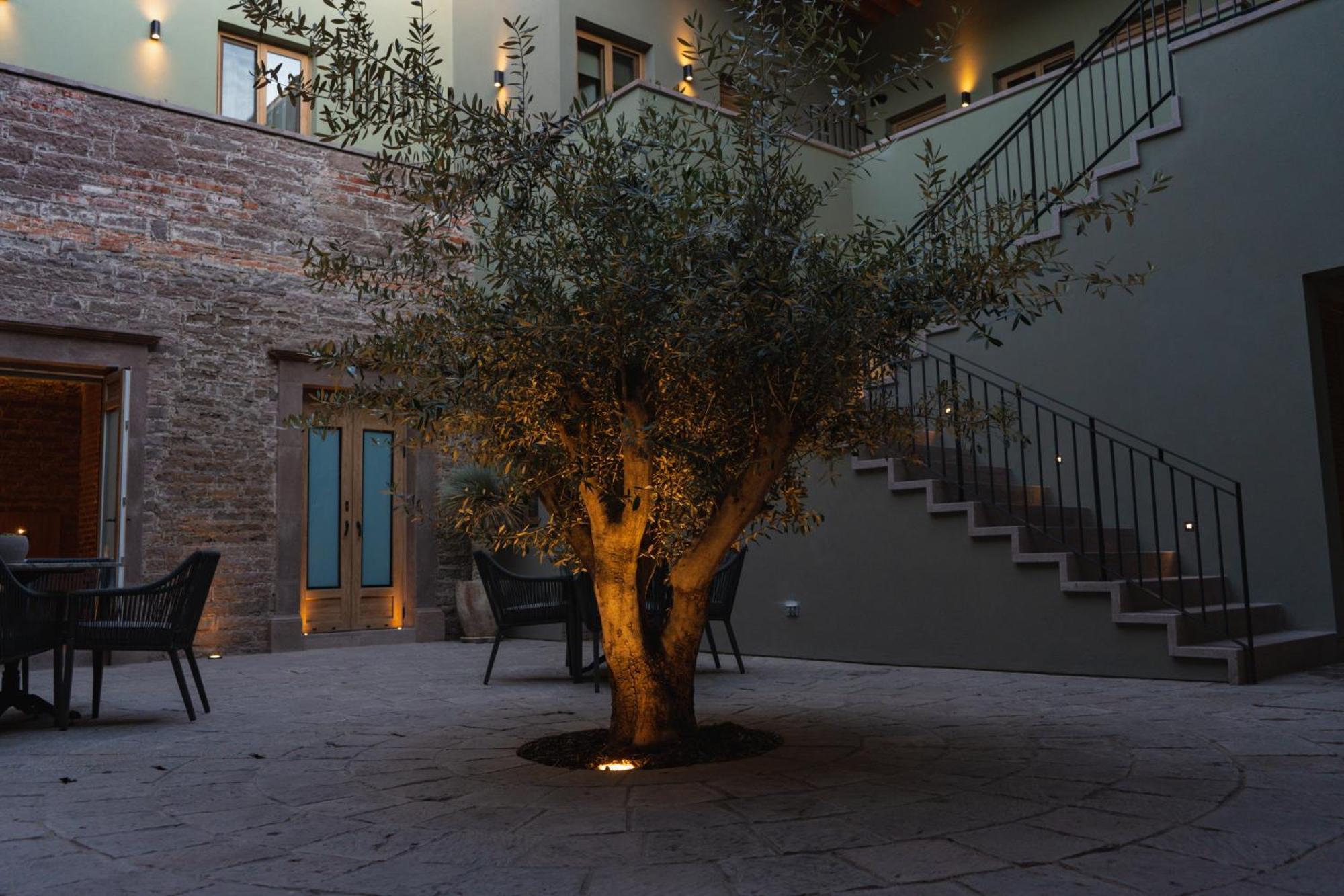 Hotel Casa Aranzazu סן לואיס פוטוסי מראה חיצוני תמונה